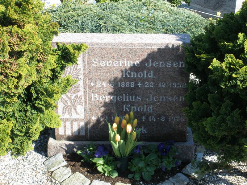 Bergelius Jensen Knold.JPG